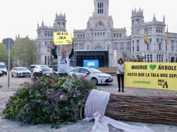 Activistas de Greenpeace junto al ramo 